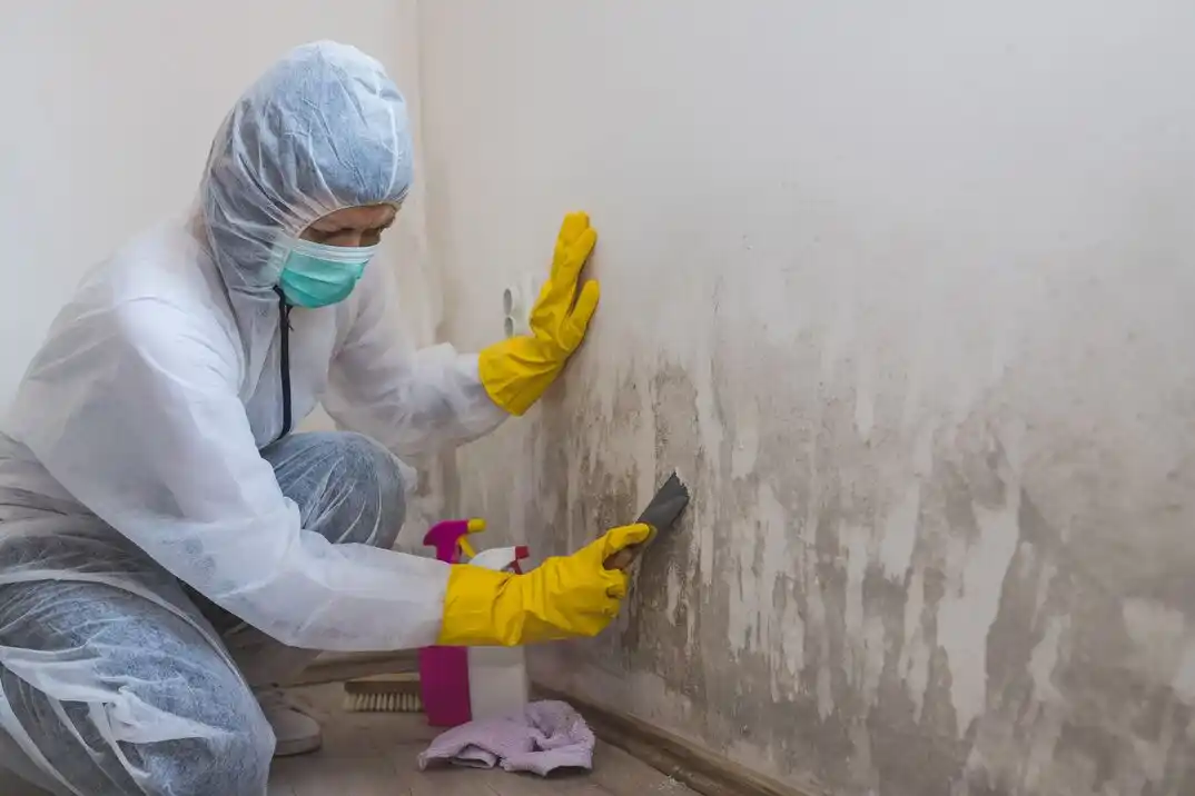 water damage restoration service Radcliffborough